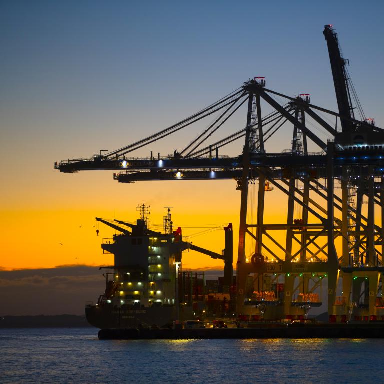 Cranes at dawn